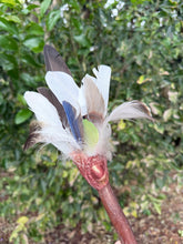 Load image into Gallery viewer, Handcrafted Smudge Wand with Duck, Indian Ringneck & Chicken Feathers | Ritual Cleansing Fan | Celtic Moon Alchemy