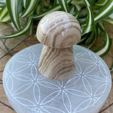Load image into Gallery viewer, Chocolate Calcite Mushroom Crystal Carving