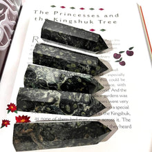Load image into Gallery viewer, Kambaba Jasper Crystal Tower Point Generator