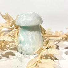 Load image into Gallery viewer, Caribbean Calcite Mushroom Crystal Carving