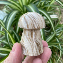 Load image into Gallery viewer, Chocolate Calcite Mushroom Crystal Carving
