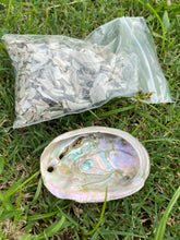 Load image into Gallery viewer, Californian White Sage and small Abalone Shell Smudge Kit
