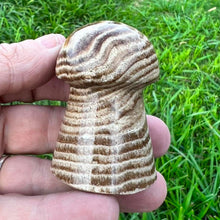 Load image into Gallery viewer, Chocolate Calcite Mushroom Crystal Carving