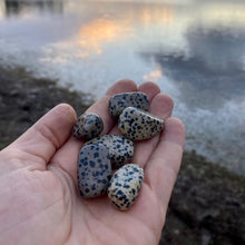 Load image into Gallery viewer, Dalmatian Jasper Tumbled / Tumble Stone / Tumbles