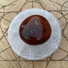 Load image into Gallery viewer, Carnelian Crystal Palm Stone Palmstone