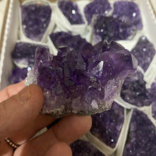 Load image into Gallery viewer, Amethyst A Grade Cluster Specimen Raw Crystal Rock