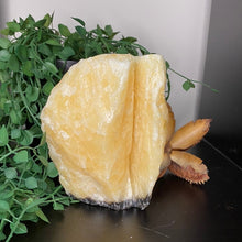 Load image into Gallery viewer, Banded Orange Calcite Raw Crystal Rock