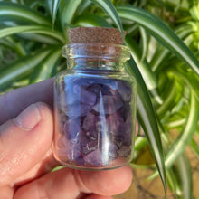 Load image into Gallery viewer, Amethyst Crystals Crystal Chips Gift - One Jar