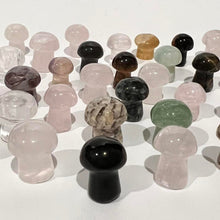 Load image into Gallery viewer, Mini Mushroom Crystal Carving