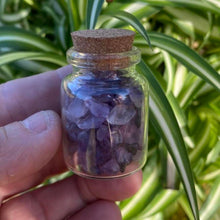 Load image into Gallery viewer, Amethyst Crystals Crystal Chips Gift - One Jar
