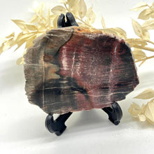 Load image into Gallery viewer, Petrified Wood Fossilised Wood Crystal Slab Raw Stone