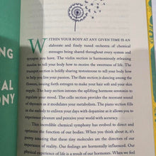 Load image into Gallery viewer, A Little Bit Of Mindfulness An Introduction to Being Present By Amy Leigh Mercree Book Spirituality