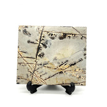 Load image into Gallery viewer, Dendritic Picture Jasper Slab Stone Crystal