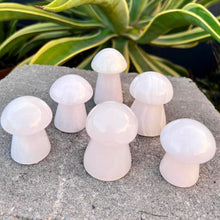 Load image into Gallery viewer, Mushroom Calcite Crystal Mushroom Carving