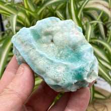 Load image into Gallery viewer, Aragonite Blue Aragonite Raw Stone / Crystal Specimen