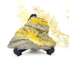 Load image into Gallery viewer, Bumble Bee Jasper Slab Polished Raw Stone