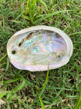 Load image into Gallery viewer, Californian White Sage and small Abalone Shell Smudge Kit