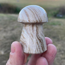 Load image into Gallery viewer, Chocolate Calcite Mushroom Crystal Carving