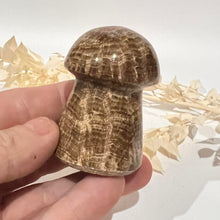 Load image into Gallery viewer, Brown Calcite Mushroom Carving
