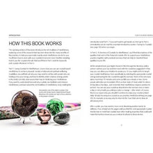 Load image into Gallery viewer, Crystal Mindfulness: Still Your Mind, Calm Your Thoughts and Focus Your Awareness with the Help of Crystals By Judy Hall Book