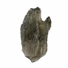 Load image into Gallery viewer, Moldavite Genuine A Grade 0.68g Raw Crystal Specimen with Certificate of Authenticity