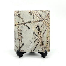 Load image into Gallery viewer, Dendritic Picture Jasper Slab Stone Crystal