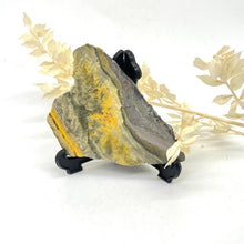 Load image into Gallery viewer, Bumble Bee Jasper Slab Polished Raw Stone