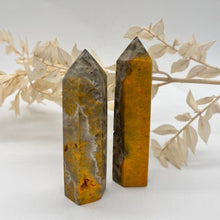 Load image into Gallery viewer, Bumble Bee Jasper Tower Point Polished Generator
