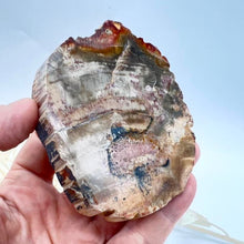Load image into Gallery viewer, Petrified Wood Fossilised Wood Crystal Slab Raw Stone