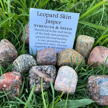 Load image into Gallery viewer, Leopard Skin Jasper Tumbled / Tumble Stone / Tumbles