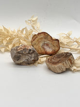 Load image into Gallery viewer, Petrified Wood Fossilised Wood Crystal Slab Raw Stone