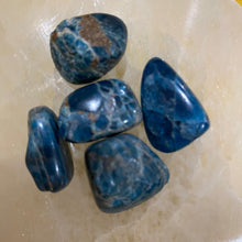 Load image into Gallery viewer, Apatite Tumbled / Tumble Stone / Tumbles