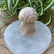 Load image into Gallery viewer, Chocolate Calcite Mushroom Crystal Carving