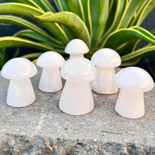 Load image into Gallery viewer, Mushroom Calcite Crystal Mushroom Carving