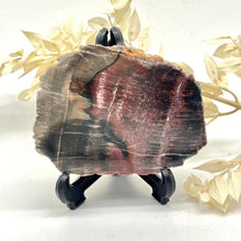 Load image into Gallery viewer, Petrified Wood Fossilised Wood Crystal Slab Raw Stone