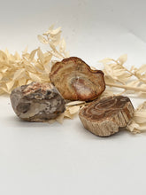 Load image into Gallery viewer, Petrified Wood Fossilised Wood Crystal Slab Raw Stone
