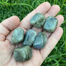 Load image into Gallery viewer, Labradorite Tumbled / Tumble Stone / Tumbles