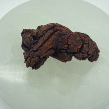 Load image into Gallery viewer, Fossil Dinosaur Poop Raw Crystal Rock