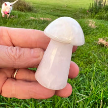 Load image into Gallery viewer, Mushroom Calcite Crystal Mushroom Carving