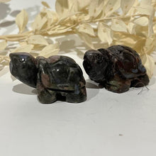 Load image into Gallery viewer, Que Sera Tortoise / Turtle Crystal Carving