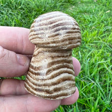 Load image into Gallery viewer, Chocolate Calcite Mushroom Crystal Carving
