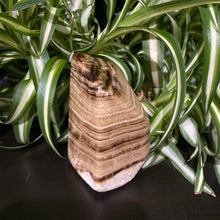 Load image into Gallery viewer, Chocolate Calcite Freeform Crystal Rock Brown Calcite