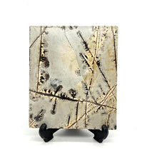 Load image into Gallery viewer, Dendritic Picture Jasper Slab Stone Crystal