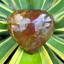Load image into Gallery viewer, Ocean  Jasper Heart Crystal Gift for Her