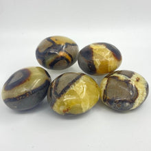 Load image into Gallery viewer, Septarium Crystal Palm Stone Palmstone