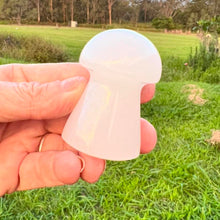 Load image into Gallery viewer, Mushroom Calcite Crystal Mushroom Carving