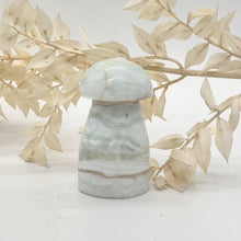 Load image into Gallery viewer, Caribbean Calcite Mushroom Crystal Carving