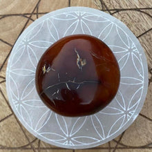 Load image into Gallery viewer, Carnelian Crystal Palm Stone Palmstone