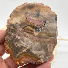 Load image into Gallery viewer, Petrified Wood Fossilised Wood Crystal Slab Raw Stone