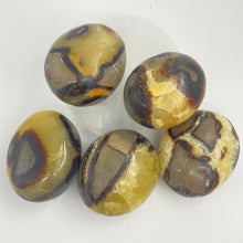 Load image into Gallery viewer, Septarium Crystal Palm Stone Palmstone